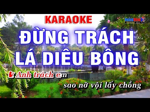 Đừng Trách Lá Diêu Bông Karaoke Song Ca – Hoàng Dũng Karaoke