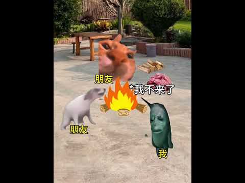 猫の動画サムネイル - 妈妈说玩火会尿床#有趣 #猫meme #猫meme剧场 #猫meme小剧场 #内容过于真实  #故事 #貓 #猫猫meme小剧场 #喵不可言
