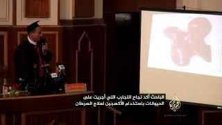 باحث مصري يكشف عن علاج محتمل للسرطان باستخدام الأوكسجين