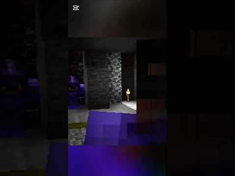 BRO GOT TRAPPED IN MINECRAFT