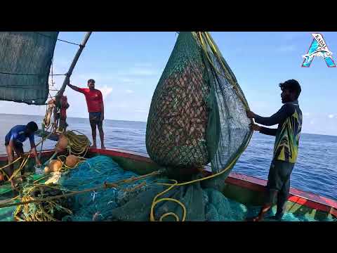 "Amazing Net Fishing in the Sea: Catching Silver Pomfret & White Trevally!"