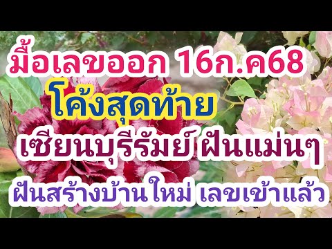 เช้ามื้อเลขออก เซียนบุรีรัมย์ ฝันแม่นๆ เล่าฝัน มั่นใจเลขเข้าแล้ว ฝันสร้างบ้านหลังใหม่ 16 กรกฎาคม 68
