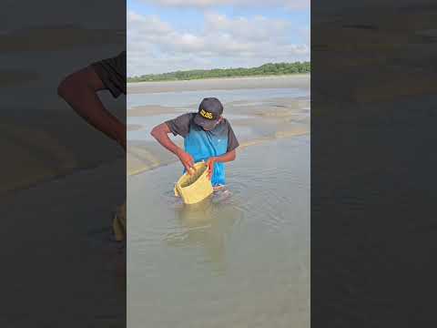 comendo sarnanbí pela primeira vez