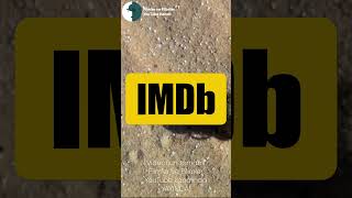 KADIKÖY BOĞASI IMDB LİSTESİ NİYE BÖYLE?