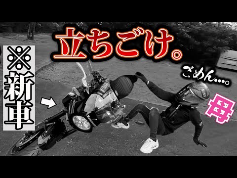 【立ちごけ】ついに母がやらかした。納車したての新車バイクが倒されました。【Z900RS】【バイク女子】