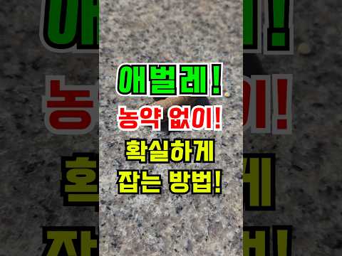 농약없이 <strong>애벌레</strong> 잡는 확실한 방법 이걸 사용하세요!