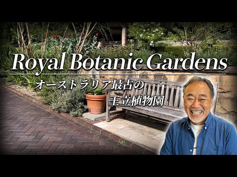 【圧巻！】8000品種以上の植物園！一度は訪れたいシドニーの代名詞！【植栽】【お庭】