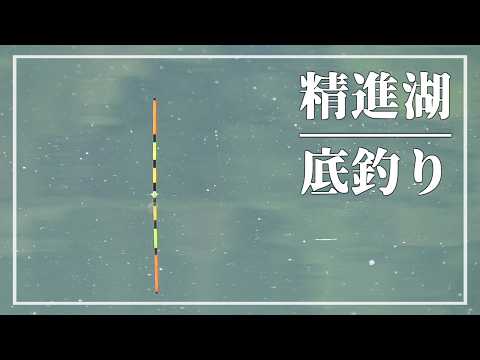 湖オカッパリを底釣り両ダンゴでへらぶな釣りしてみたら【山梨県 精進湖リベンジ】