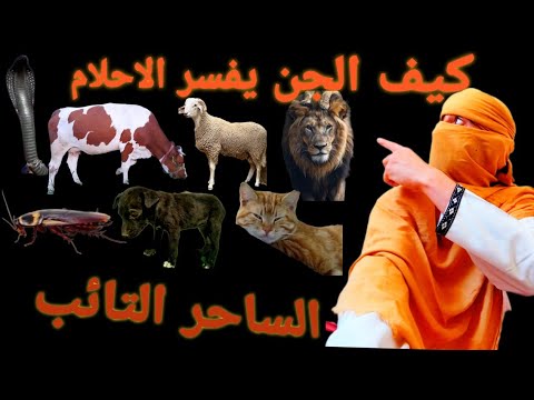 شاهد كيف الجن يفسر الاحلام بي طريقتهم الخاصة