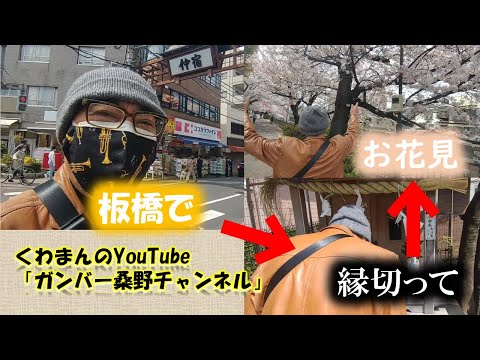 板橋で桜見ながらウォーキング