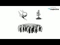 Ecological Concepts and Biodiversity