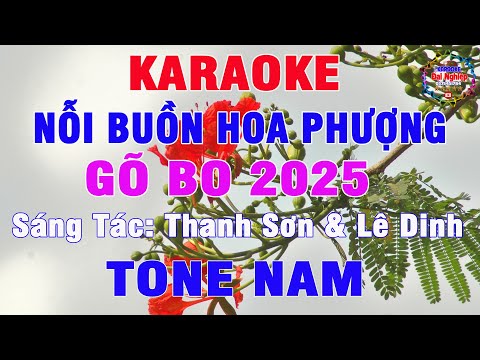 Nỗi Buồn Hoa Phượng (Gõ Bo Karaoke) Tone Nam Nhạc Sống Bolero 2025 || Karaoke Đại Nghiệp