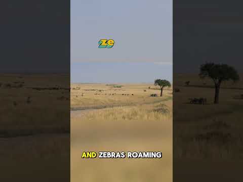 “Where the Sky Roars and Rainbows Are Born 🌈⚡”