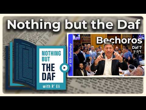 CHAZARAH - Bechoros Daf 7 | "Nothing but the Daf" with R' Eli Stefansky