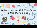 Cell Functions and Structures Assessment