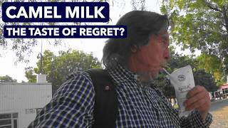Why is India Researching Camels? And Does the Milk Actually Taste Good?
