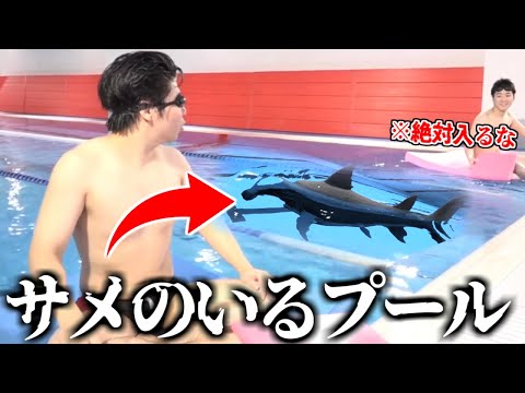 どう見ても入っちゃダメな"サメのいるプール"に何故か入ろうとするホラゲー「Sharks and Minnows」実況プレイ