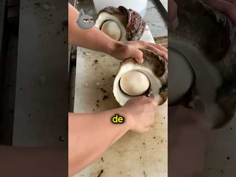 Así extraen los abulones los chefs 🥴 #mariscos #comida #curiosidades #curiosoben