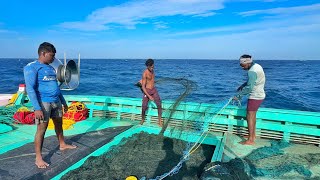 Ohh❗Deep Sea Net Fishing 💢 Full video Capture 