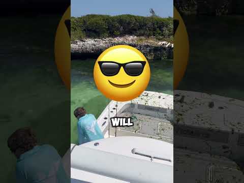 YOU WONT BELIEVE WHAT THEY CAUGHT! 🐟🎣