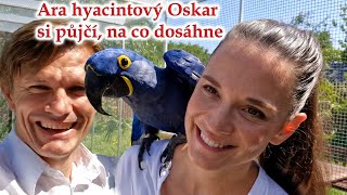 Modelka Carmen Justová a režisér Karel Šístek v Království papoušků