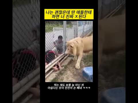 나는 괜찮은데 딴 애들한테 하면 너 진짜 ㅈ된다