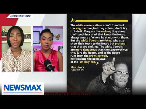 'Joy to see left eat itself': Black conservatives rejoice over leftist racial divisions