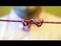 Knot Theory and Mechanics