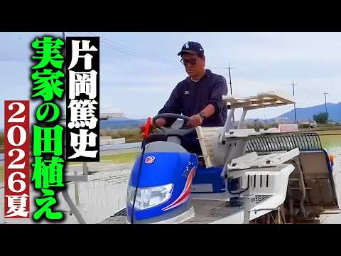 【田植えVlog】片岡篤史が実家の田植えに挑戦してみた‼︎【片岡米】
