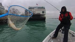 Mid April Detroit River Walleye Jigging