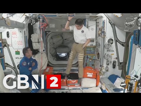 NASA's SpaceX Crew-11 arrives at ISS