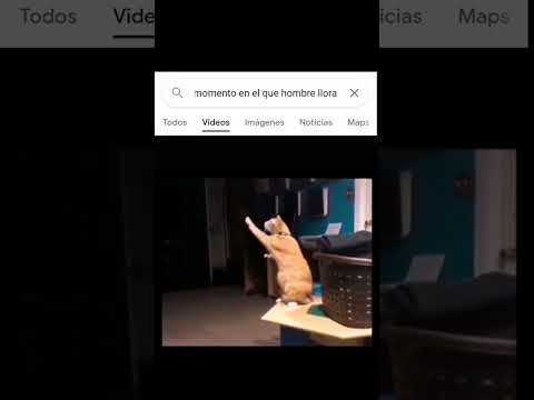 Se vale llorar π₯Ί