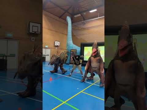 Prehistoric cha cha slide