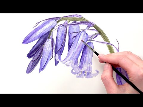 How to paint iridescent bluebells in watercolour with Anna Mason