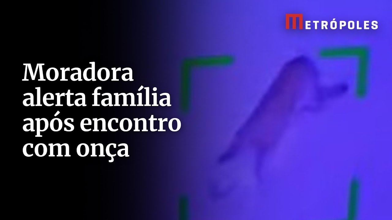 Moradora alerta família após encontro com onça