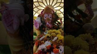వినాయక చవితి శుభాకాంక్షలు#happyvinayakachavithi#ganeshchaturthi #youtubeshorts #trendingshorts#yt
