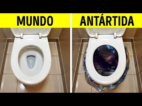 Cosas extrañas que nunca creerás que están prohibidas en la Antártida