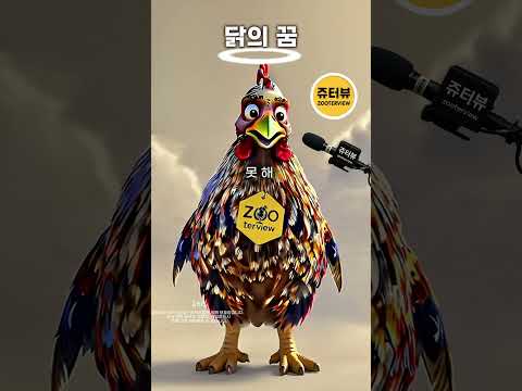 닭의 꿈 [쥬터뷰]
