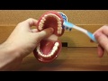 Dental Hygiene Best Practices