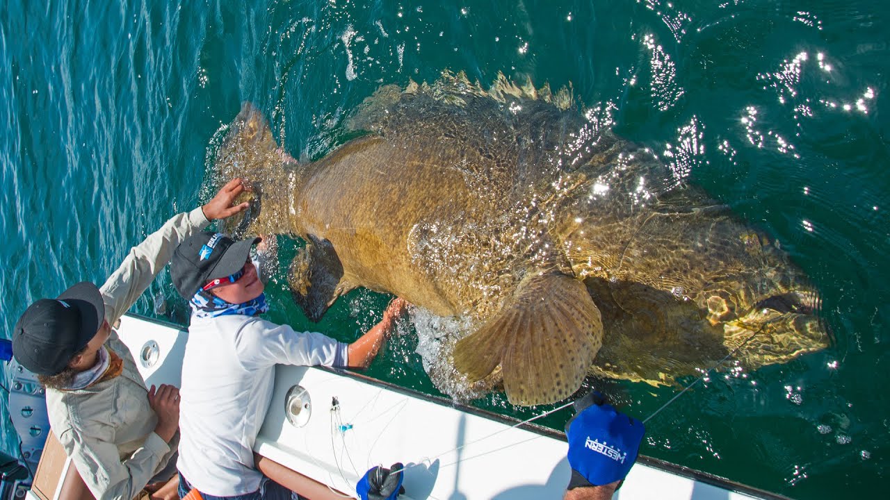 Josh gets Line Burn from Giant Grouper - ft. Chew On This