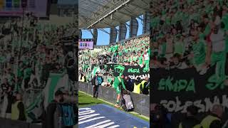 TAK SIĘ BAWI I WYGRYWA RADOMIAK 🔥💪💚🔥💪💚 #radom #radomiak