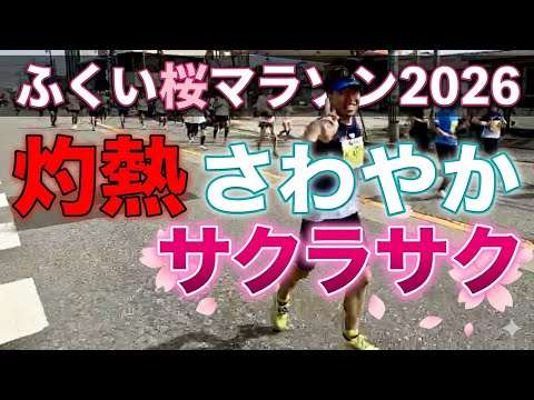 【ふくい桜マラソン2026】三度目の正直!灼熱さわやかサクラサク