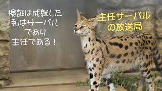 【FF14】1日メタパでアグライア完全初見配信　(声当て注意)