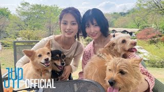 動画サムネイル