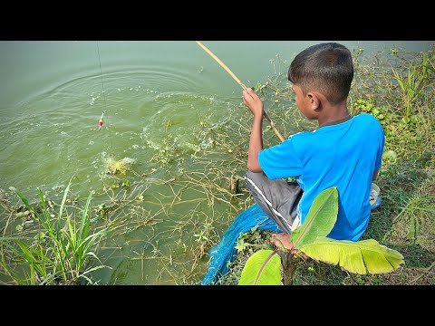 Amazing Hook Fishing Video | Traditional Hook Fishing in Village Smart Small Boy Fishing With Hook.