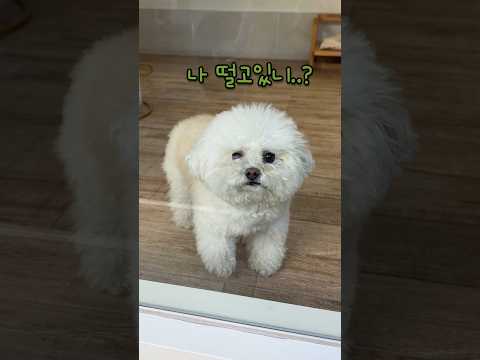 나한테 왜 그랬어...?