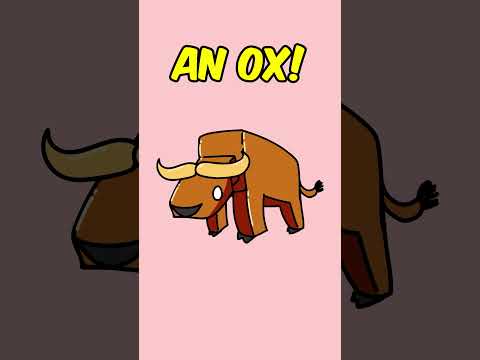 Why Chinese New Year ALWAYS CONFUSES ME!