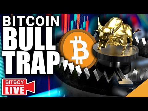 Bitcoin Rejected at 24k! (3 Reasons Reddit's Getting into Crypto)