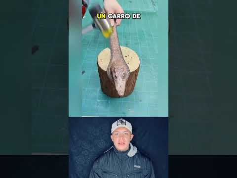 Es uno de los cinturones más caros del mercado #sabiasque #datoscurisos