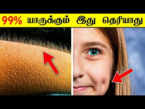 உங்கள் உடலைப் பற்றி உங்களுக்கு தெரியாத விஷயங்கள்!! _ facts in tamil galatta news facts in minutes